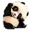 qq_a0122158s3w4
