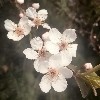 爱自己43
