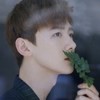 麦芽糖糖糖