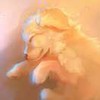 weixin_v4zqf