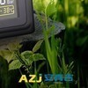 么青