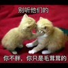 weixin_0t909hm4