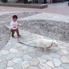 余烬、