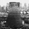 ZOL网友47390996