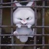 weixin_ub5xs