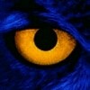 黑夜猫先生