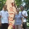 qq_540560y1519y
