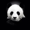 w鈥唝鈥唌
