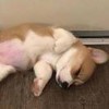 weixin_tedta