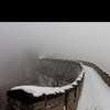 雾是人非