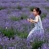 lj20080925070928