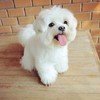 18号是笑笑