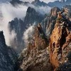 聚众吃瓜