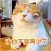 一一酱
