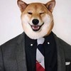 荻野千尋Q_