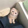 邹七七