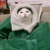 张狗子是老大