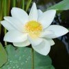 weixin_9ug8q