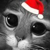 weixin_irdtl