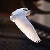 weixin_7xu84121