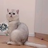 ̸������������