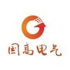 南京国高电气