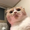 ô졡 