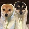 月华文昌　 