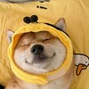 Fʫ 