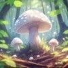 寻找白伞伞