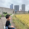 东方木叶
