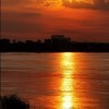weixin_61556i1u