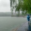 yciaoyang