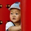 春草寸辉