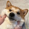有点搞哦