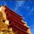 易生只许CWX
