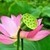 weixin_4kulwc